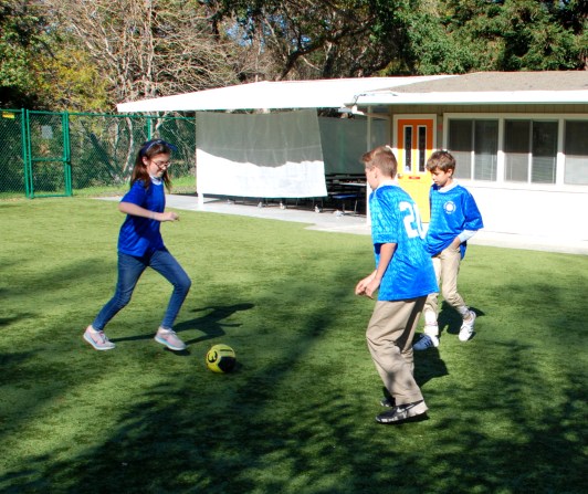 dsc_0388-s-11-18-2016-4-41-16-am