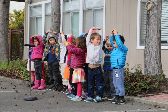 Hoot Owls singing.JPG