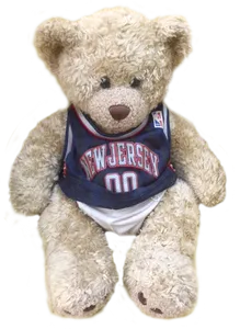 Traveling Teddy Bear