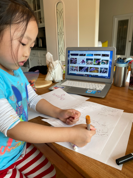 Sea Creature Research Project (Mar 24, 2020 at 12_50 PM) - Edited