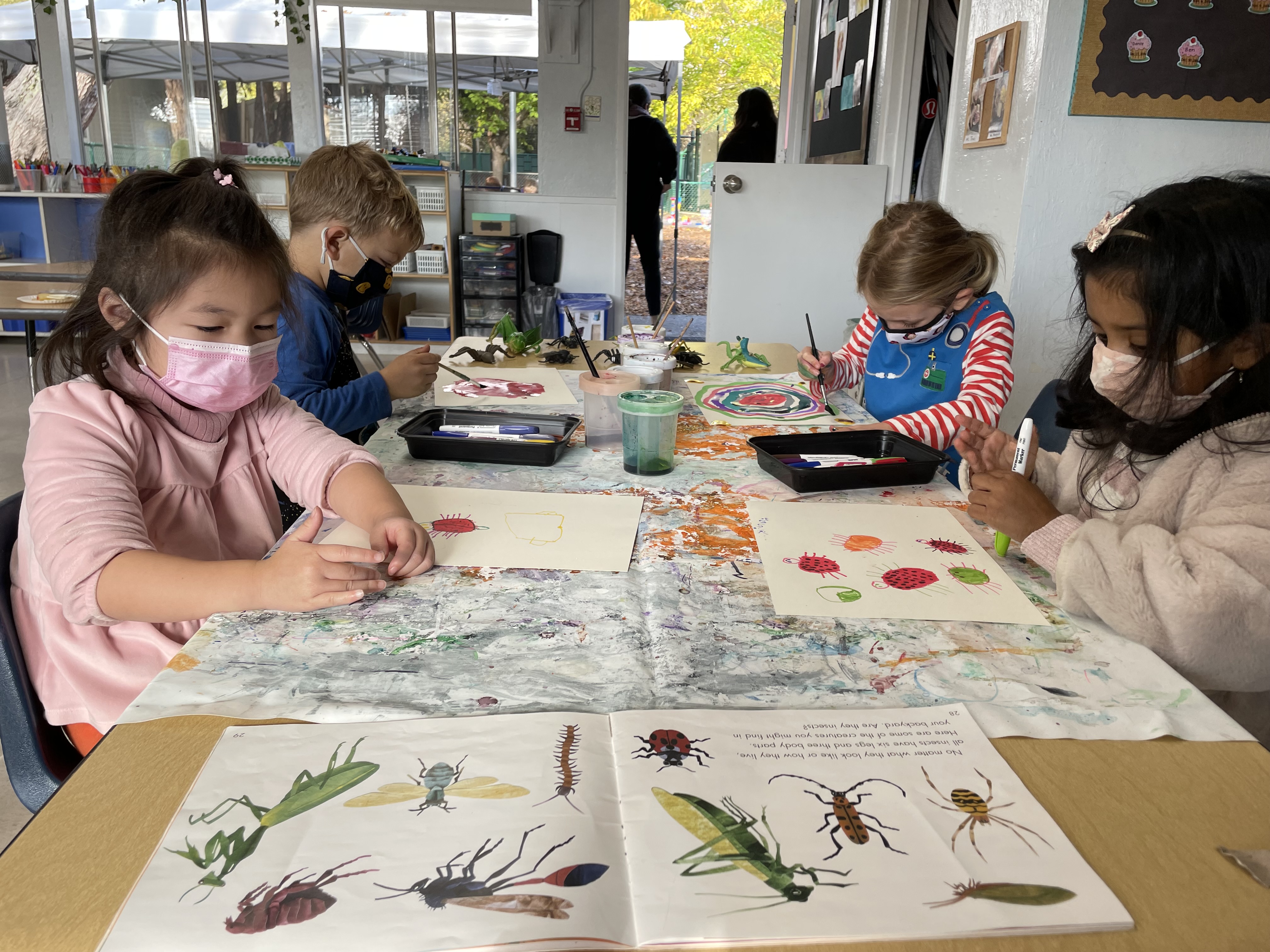 An Interest in Insects – FRIDAY BLOG
