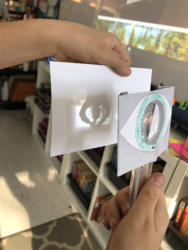 Seeing the World – FRIDAY BLOG